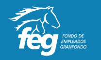 FEG PRUEBAS